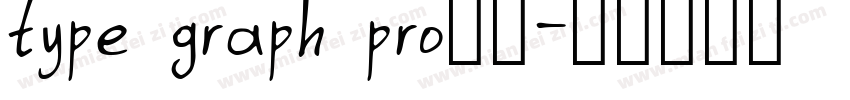 type graph pro字体字体转换